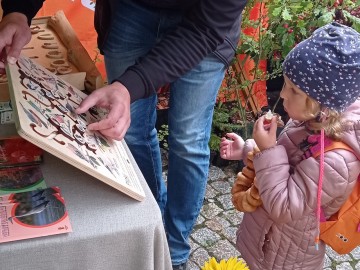 44. Święto Kwiatów, Owoców i Warzyw - w optymistycznym kolorze, 